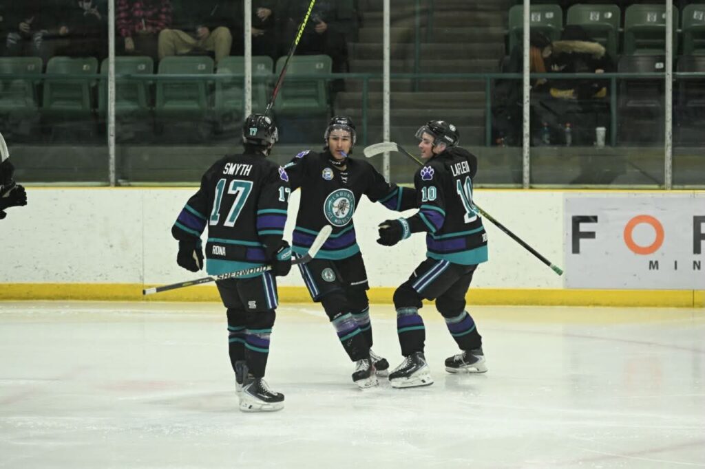 La Ronge Ice Wolves